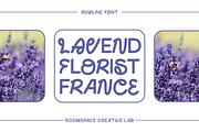 Ovaline - Modern Aesthetic Font, a Sans Serif Font by roomspace creative lab (Thumbnail 5 of 9)