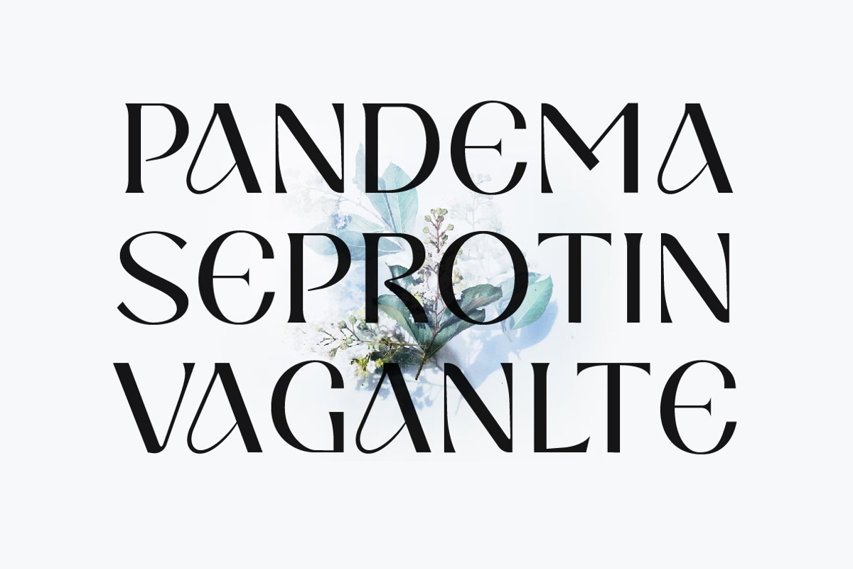 Kasepi Sans Display Fonts, a Sans Serif Font by Yukita Creative (Photo 3 of 12)