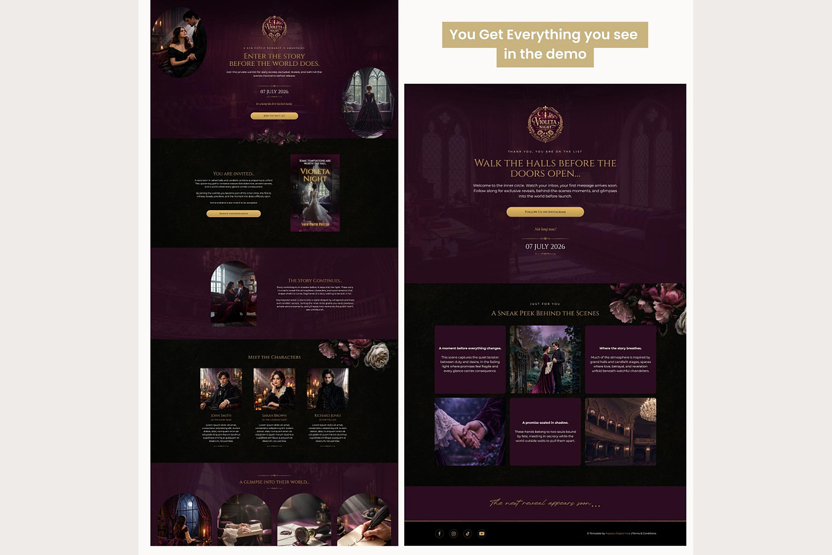 Systeme.io Violeta Night Waitlist, a Landing Page Template by Hayley's Digital Hub (Photo 7 of 10)