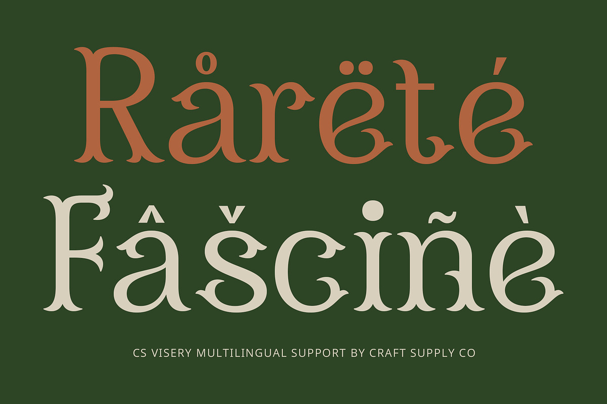 CS Visery – Display Font, a Serif Font by Craft Supply Co. (Photo 3 of 8)