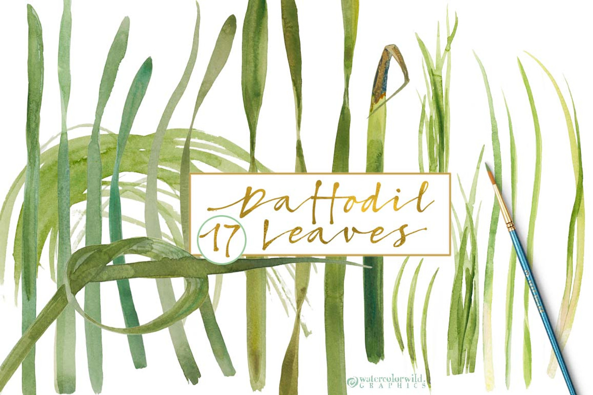 Double Daffodils, an Illustration by watercolorwild.graphics (Photo 5 of 6)