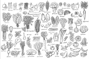 Vegetables, a Food Illustration by Anada Arty