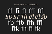 Vogera Minimal Editorial Serif, a Serif Font by Lettertype Studio (Thumbnail 14 of 15)