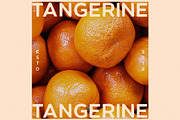 CITRUS GARDEN - vintage sans serif, a Sans Serif Font by Misha Sova (Thumbnail 7 of 11)