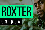 Roxter – Display Sans-Serif Font, a Sans Serif Font by Webhance Studio (Thumbnail 1 of 9)