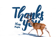 Ohany Musim - Brush Script, a Handwritten Font by Samtiv Studio (Thumbnail 7 of 7)