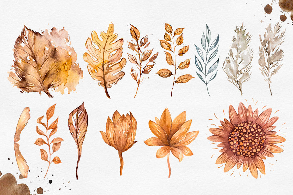 Herbarium Master Collection, a Decorative Illustration by AlexGreenArt (Photo 4 of 12)
