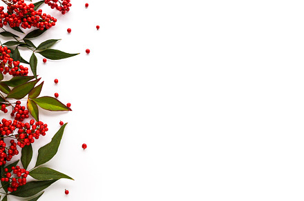Christmas background with berries