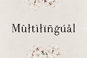 Impression font, a Serif Font by elvinova (Thumbnail 8 of 8)