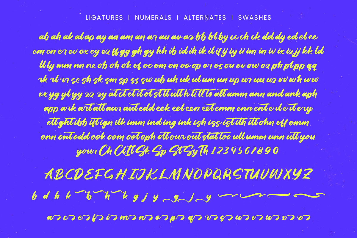 Dhaily Cluter - Bold Brush Font, a Script Font by Letterena Studios Script (Photo 15 of 15)