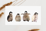 Cute penguins chicks watercolor set., an Animal Illustration by Bychovsky design (Thumbnail 6 of 9)