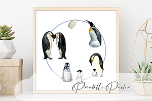 Watercolor Penguin Life Cycle Set