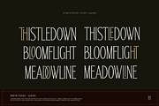 TRT Bird of Feather – Elegant Serif, a Font by truetype (Thumbnail 4 of 15)