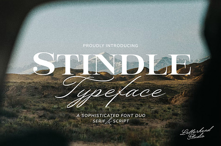 Stindle Organic Font Duo