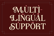 Aigos - Elegant Serif Display Font, a Serif Font by Pekotype (Thumbnail 5 of 15)