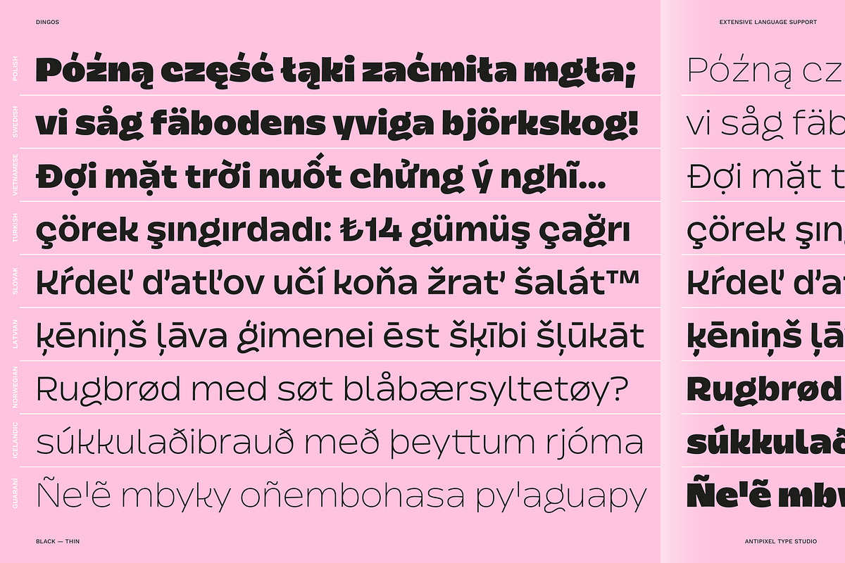 Dingos | Compact Chunky Display Sans, a Sans Serif Font by Antipixel Type Studio (Photo 6 of 16)