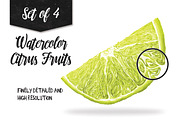 Watercolor Citrus Fruits, a Food Illustration by Curve and Pixel (Thumbnail 2 of 4)