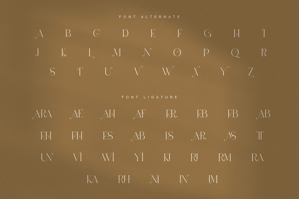 Navara Elegant Ligature Serif Font, a Serif Font by Graphicxell (Photo 8 of 8)