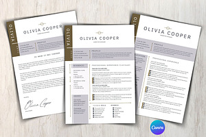 Modern Executive Resume Template, a Templates & Theme by iloveTemplate