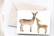 Watercolor deer set, an Animal Illustration by OrangePeafowlArt (Thumbnail 6 of 12)