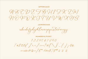 Martigale A Modern Calligraphy Font