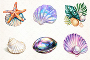 Watercolor Summer Seashell Clipart, an Illustration by Watercolor design (Thumbnail 4 of 4)