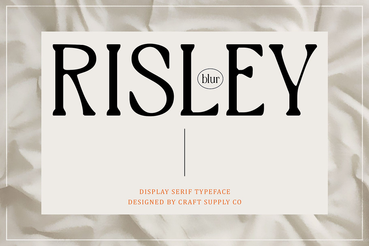 Risley Blur, a Serif Font by Craft Supply Co. (Photo 1 of 8)