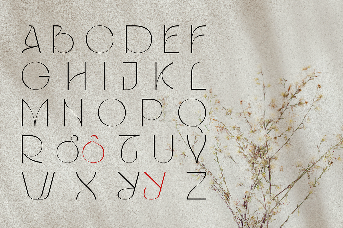 Suorva-Display Fontface, a Sans Serif Font by Sign Studio (Photo 9 of 10)