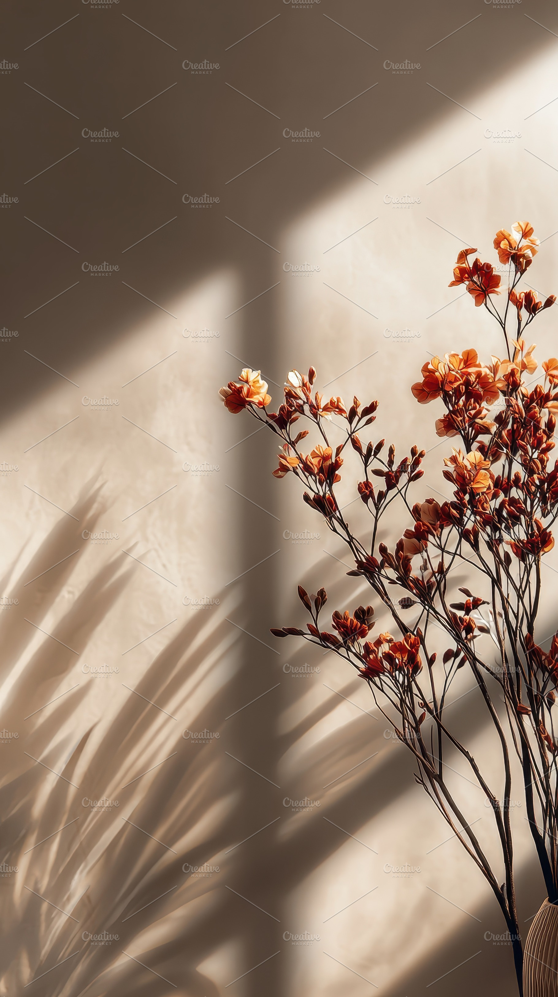 Dried flowers in vase sunlit wall sh, a Photo by Pixeness Studio