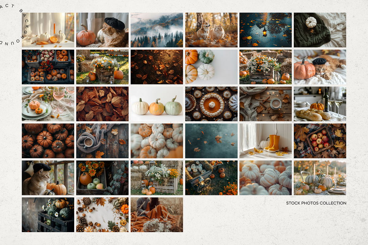 Autumn Golden Vibes, a Nature Photo by Lumeno (Photo 3 of 5)