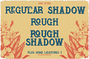 Aloheaven Vintage Label Font, a Serif Font by JumboDesign (Thumbnail 5 of 5)