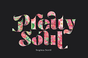 Segina - Decorative Serif, a Serif Font by creativemedialab (Thumbnail 12 of 12)