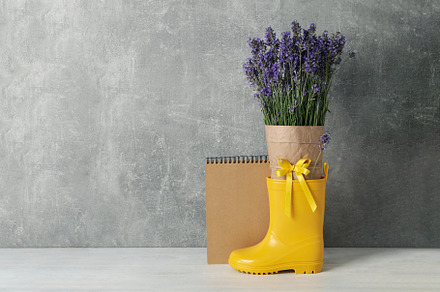 Cozy composition with lavender flowers on wooden table, a Nature Photo by AtlasStudio