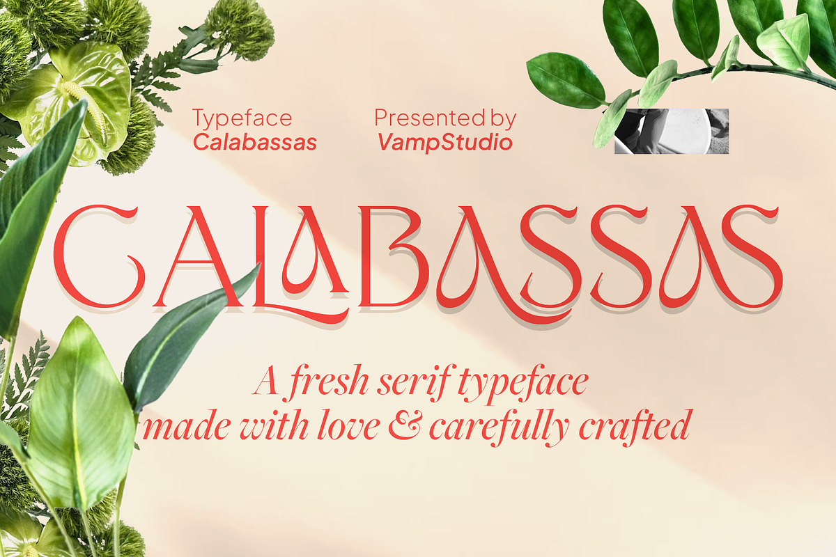 Calabassas Fresh Modern Serif, a Serif Font by Vampstudio (Photo 1 of 13)