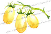 Vector watercolor vegetables, a Food Illustration by Evgeniia Zagreeva (Thumbnail 2 of 3)
