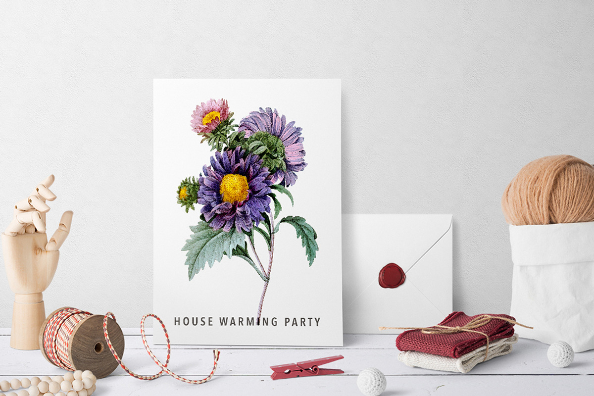 Flowers Aster Purple Clipart Vintage, an Illustration by Enliven Designs (Photo 3 of 9)