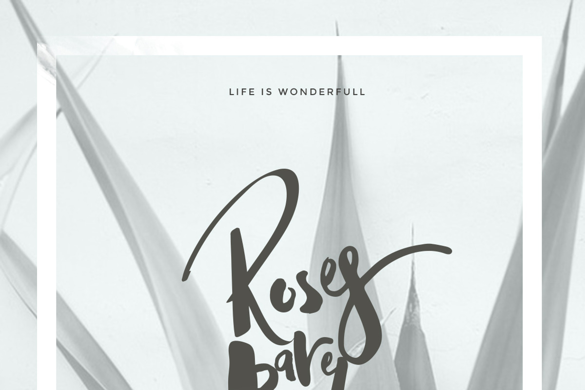 Adele 6 Fonts (70% off) preview 2