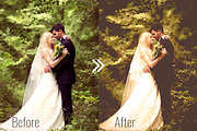 Wedding Lightroom Preset Collections, an Action Add-On by PixelHive Pro (Thumbnail 30 of 36)