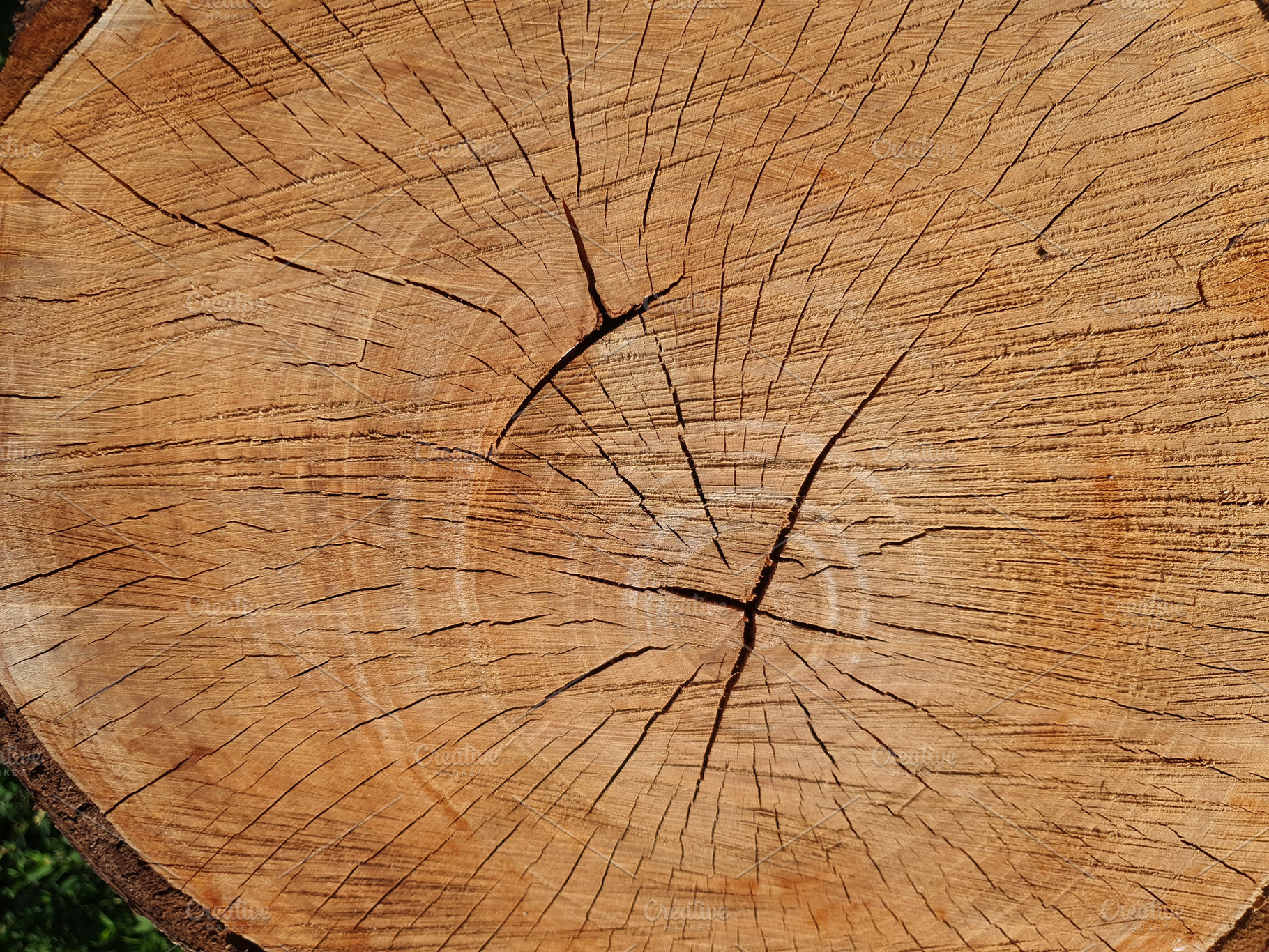 flat brown wood texture background, a Photo by WorldOfPhotos
