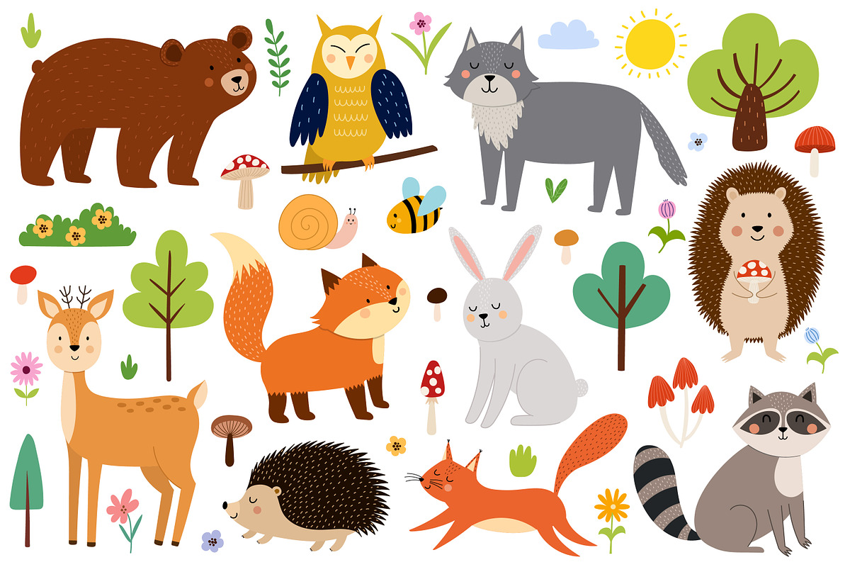 Cute Forest Animals Big Collection, an Animal Illustration by Gulnara Sabirova (Photo 4 of 16)