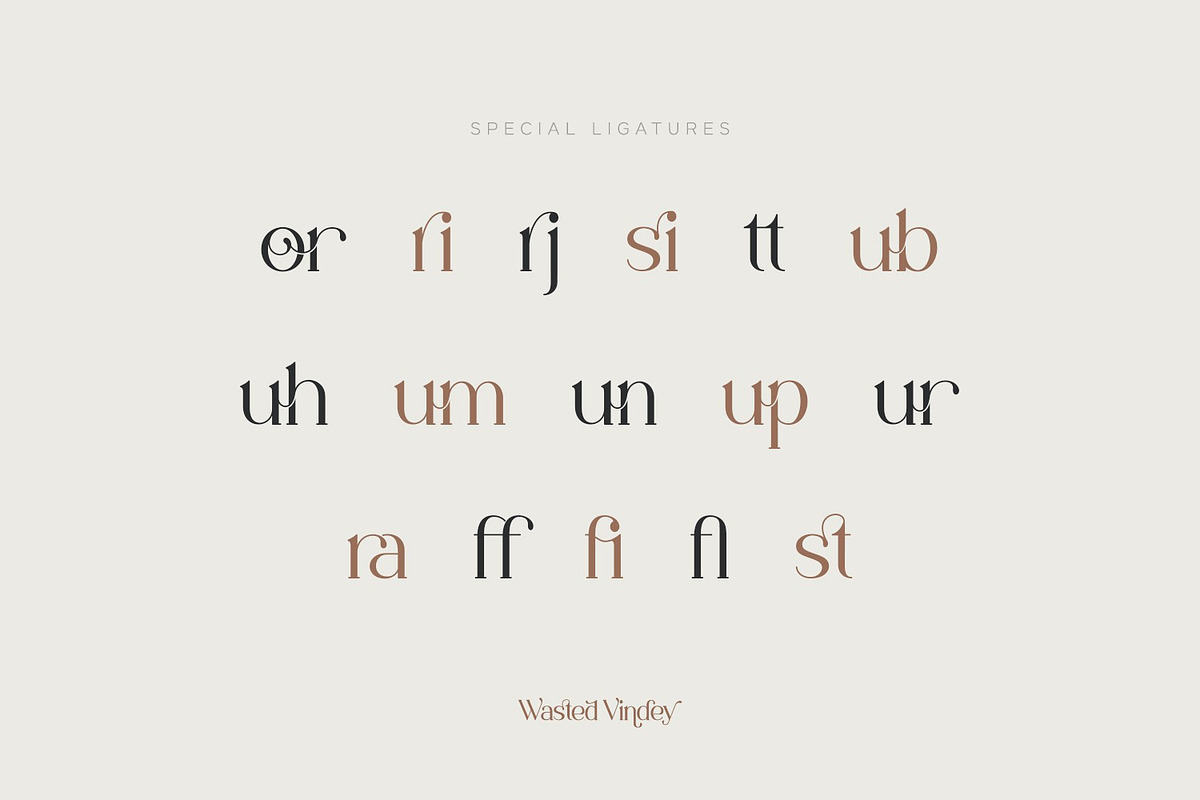 Wasted Vindey - Classy Serif Font, a Serif Font by Koplexs Studio (Photo 11 of 14)