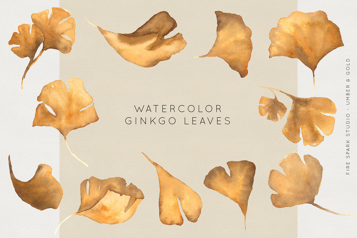 Ginkgo Leaf Watercolor Illustrations, a Seasonal Illustration by Fire Spark Studio (Photo 2 of 8)