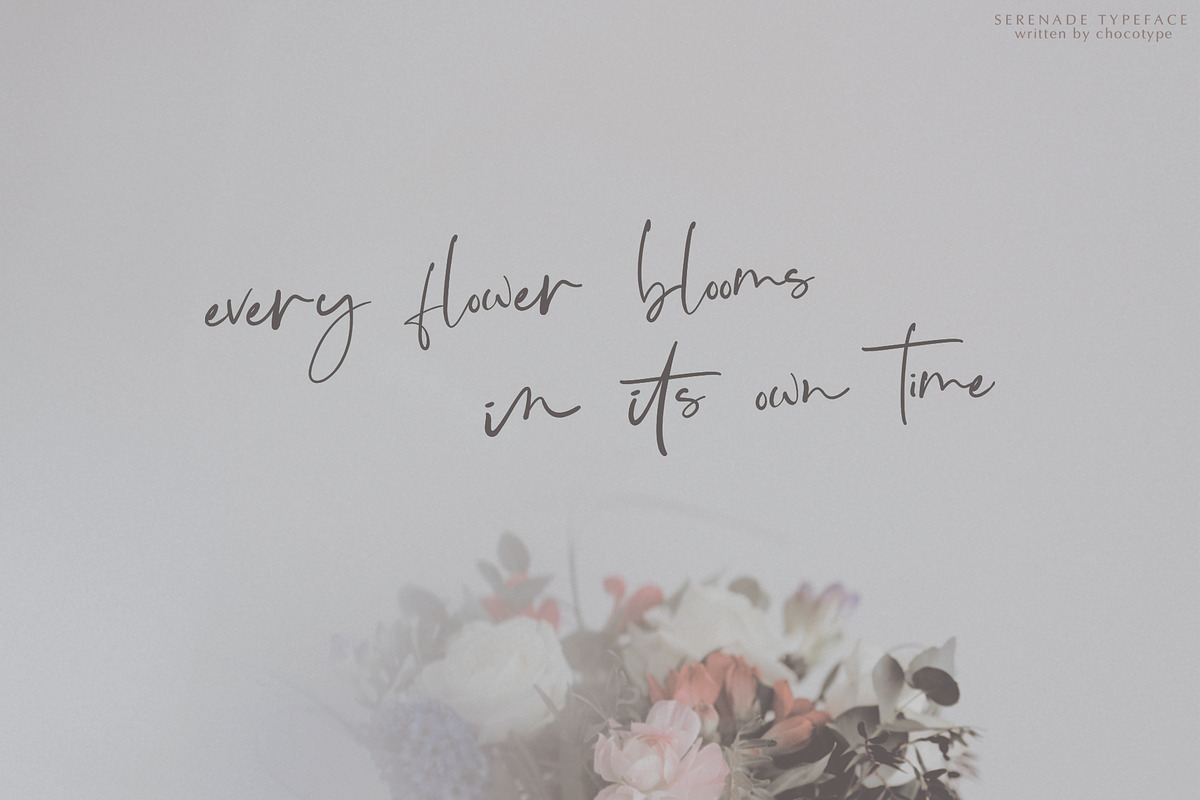 Serenade Script, a Script Font by Chocotype Std (Photo 6 of 7)