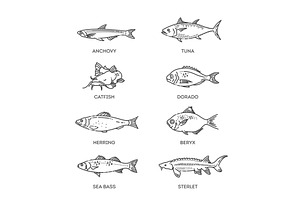 Set of vector outline fish icons, an Animal Illustration by Tettygreen