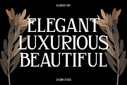 Helmova, a Serif Font by Zaloma Studio (Thumbnail 2 of 18)
