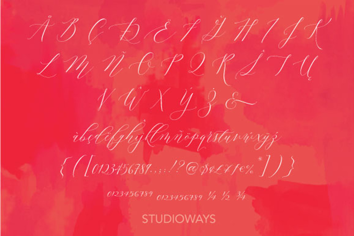 Lady Slippers Loops, a Script Font by STUDIOWAYS (Photo 5 of 6)