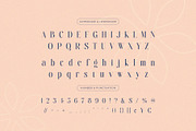 Maillore – Elegant & Stylish Serif, a Serif Font by BrandSemut (Thumbnail 9 of 10)