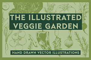 Illustrated Vector Vegetable Garden