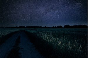 Serene Night Sky Over Green Fields, a Nature Photo by Our Amazing World