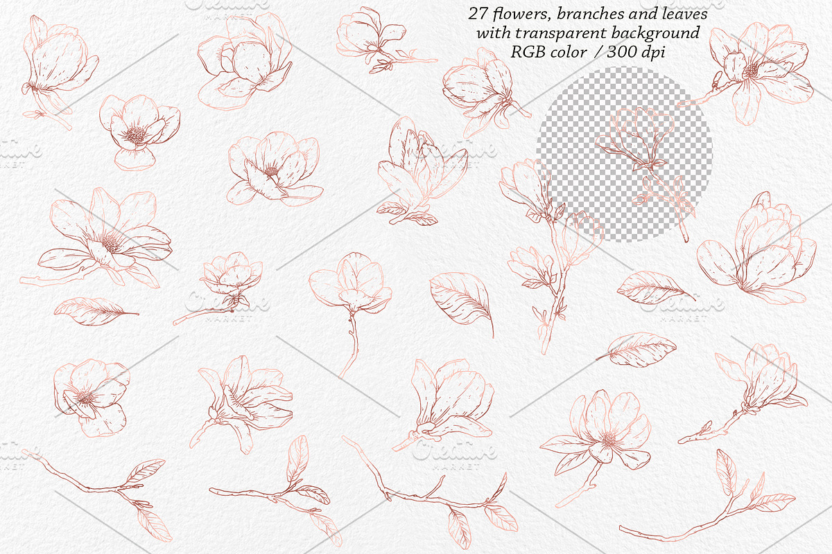 Magnolia Graphic Collection, a Decorative Illustration by Elly Studio (Photo 12 of 14)